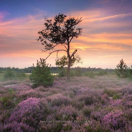 Вилла Natuurhuisje Ойстервейк Экстерьер фото