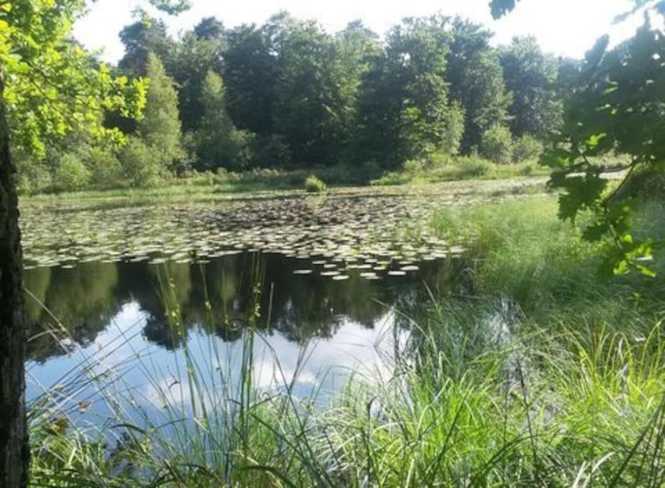 Вилла Natuurhuisje Ойстервейк Экстерьер фото