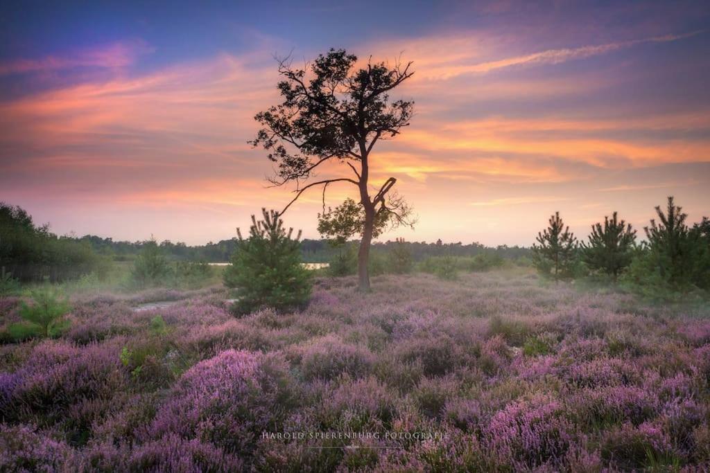 Вилла Natuurhuisje Ойстервейк Экстерьер фото