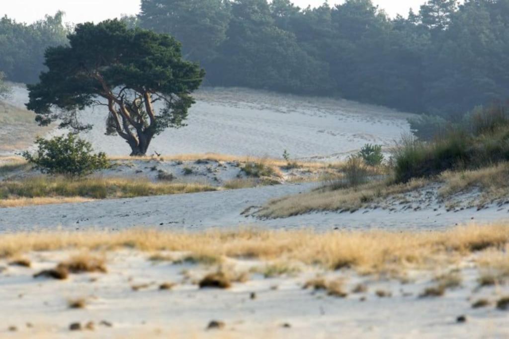 Вилла Natuurhuisje Ойстервейк Экстерьер фото