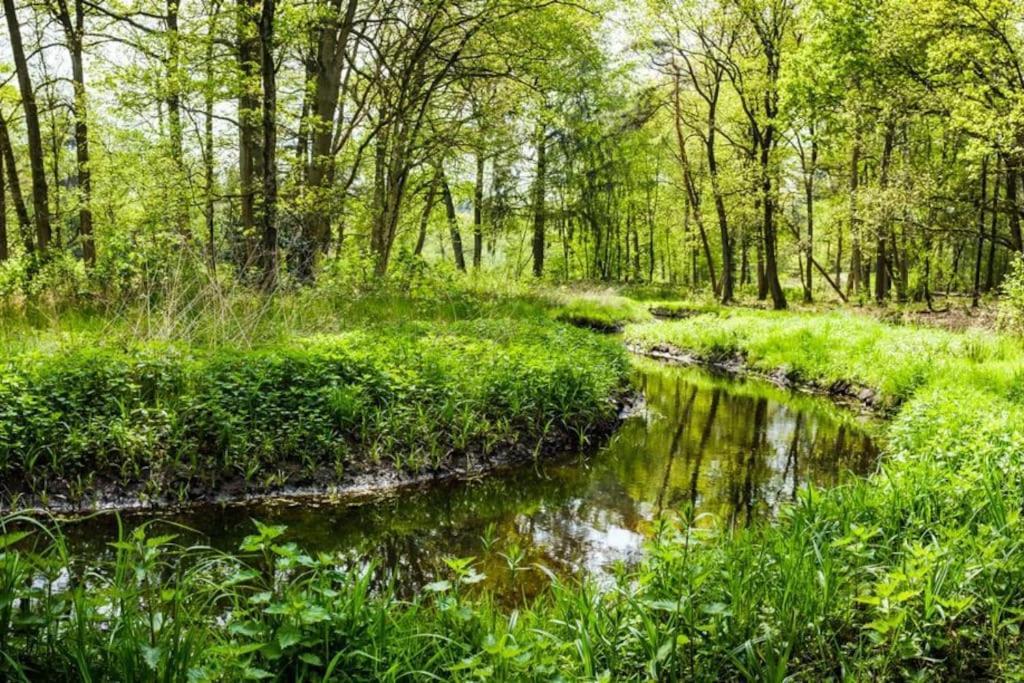 Вилла Natuurhuisje Ойстервейк Экстерьер фото