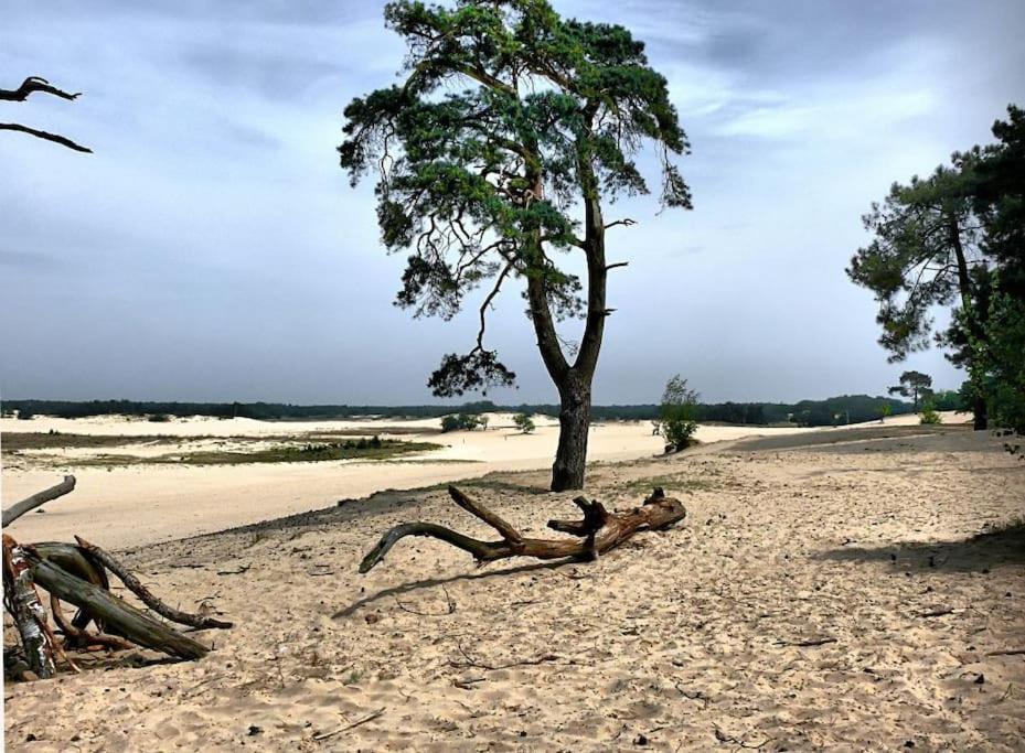 Вилла Natuurhuisje Ойстервейк Экстерьер фото